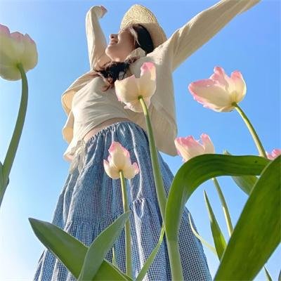 大进军——解放大西北